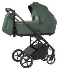 Коляска універсальна 2 в 1 Carrello Alfa CRL-6522 Meadow Green