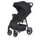 Коляска прогулянкова El Camino FIJI ME 1113-2 Black Matt
