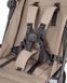 Коляска прогулянкова Carrello Evo CRL-5533 Medallion Beige