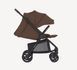 Коляска прогулянкова Anex RIDE RD-04 NUTTY