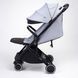 Коляска универсальная 2 в 1 Anex Air-X Black/Toffe