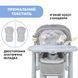 Стільчик для годування Chicco Polly Magic Relax (05)