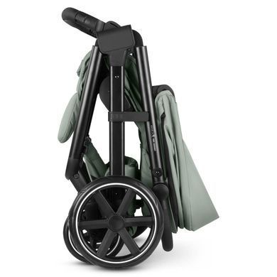 Коляска прогулянкова ABC Design Avus 2 Pine