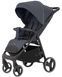 Коляска прогулянкова CARRELLO Bravo CRL-8512 Timber Grey