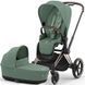 Коляска універсальна 2 в 1 Cybex Priam 4.0 Leaf Green / Rosegold