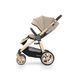 Коляска прогулочная BabyStyle Oyster3 Special Editions Champagne