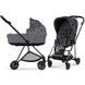 Коляска універсальна 2 в 1 Cybex Mios 2022 Simply Flowers Grey/Matt Black