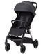 Коляска прогулянкова Carrello Delta CRL-5517 Lava Grey