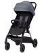 Коляска прогулянкова Carrello Delta CRL-5517 Flint Grey