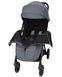 Коляска прогулянкова Carrello Delta CRL-5517 Wheat Beige