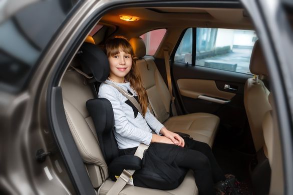 Автокресло Biene Drive Grey