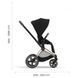 Коляска прогулянкова Cybex Priam 2022 Spring Blossomi Dark/Matt Black
