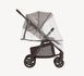 Коляска прогулянкова Anex RIDE RD-01 CHROME